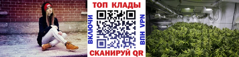Продажа наркотиков Сенгилей Конопля  Мефедрон  мега ТОР  Гашиш  АМФ 