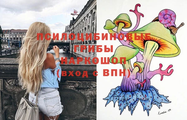 бошки Алексеевка