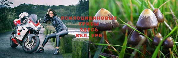 бошки Алексеевка